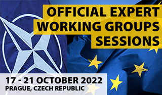 Official Working Groups' Sessions