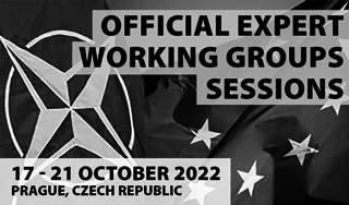 Official Working Groups' Sessions