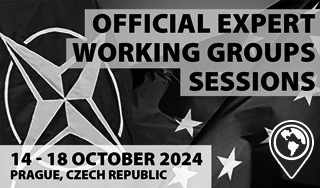 NATO Working Groups Sessions